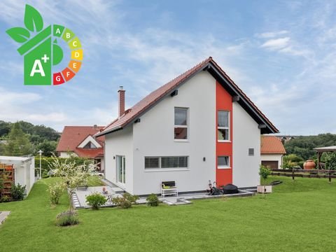 Netzschkau Häuser, Netzschkau Haus kaufen