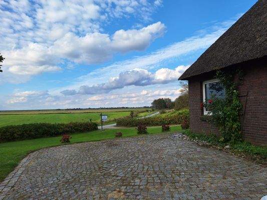 Grundstück mit Blick zur Zufahrt 