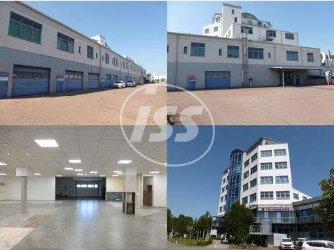 Dessau-Roßlau Büros, Büroräume, Büroflächen 