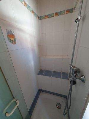 Hinterhaus - Bad -Dusche.jpg