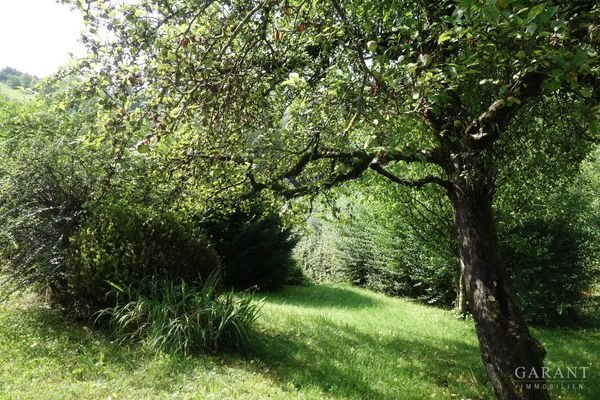 Gartenbereich