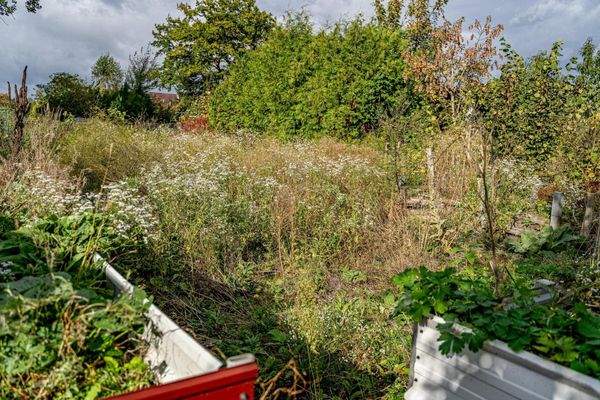 Hinteres Grundstück