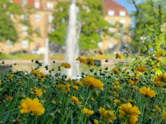 Haydnplatz Karlsruhe
