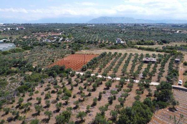 Kreta, Mouzouras: Flaches Grundstück mit Panoramablick zu verkaufen