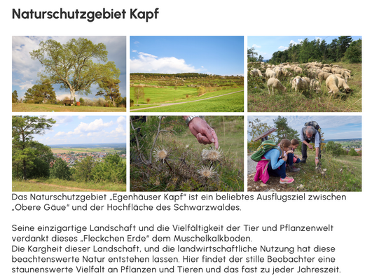 Naturschutzgebiet Kapf.png