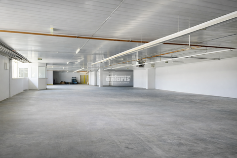 Drei Gleichen Halle, Drei Gleichen Hallenfläche