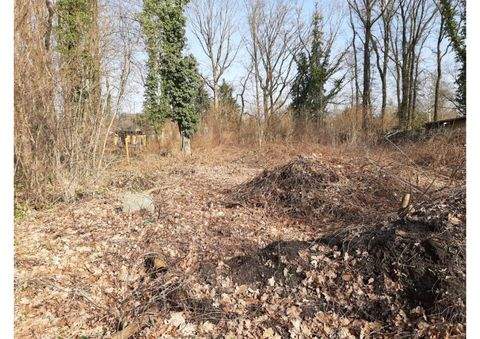 Senftenberg / Niemtsch Grundstücke, Senftenberg / Niemtsch Grundstück kaufen