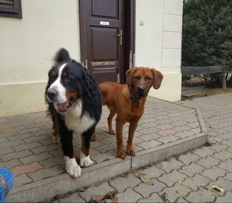 Bild 15