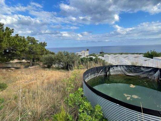 Kreta, Mavros Kolimpos: Grundstück mit Meerblick zu verkaufen