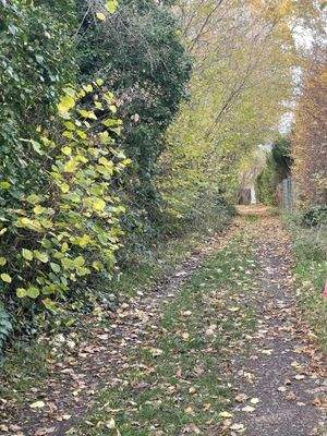 Weg zu den angrenzenden Wiesen und Feldern
