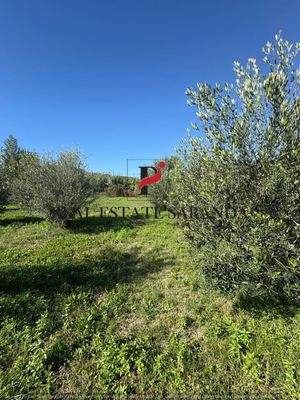 WhatsApp Image 2025-10-30 at 11.44.13 (6).jpeg