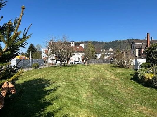 Blick in den Garten