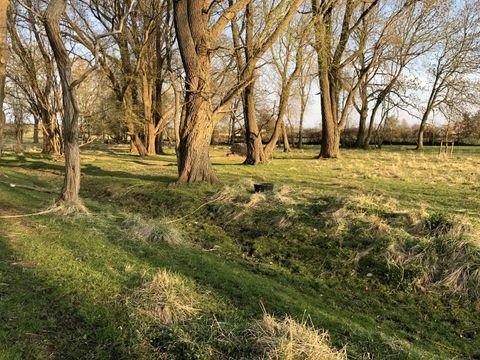 Bergen Bauernhöfe, Landwirtschaft, Bergen Forstwirtschaft