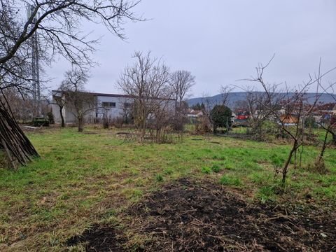 Langenlois Grundstücke, Langenlois Grundstück kaufen