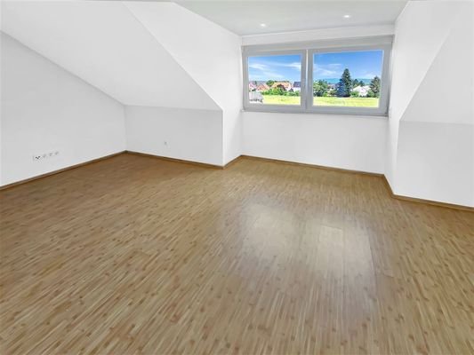 Zimmer DG