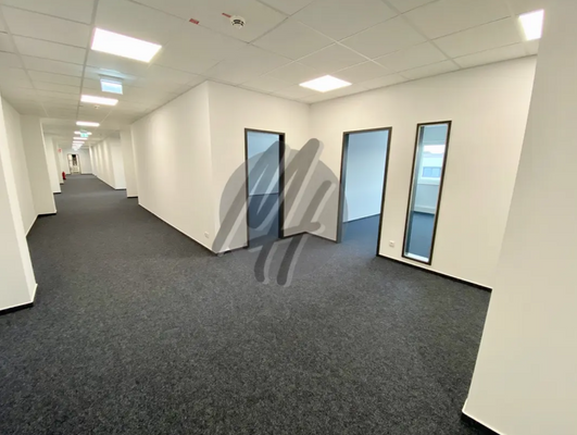 INFOS UNTER: 06171-586000