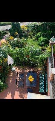 FeWo UG - Terrasse (3)