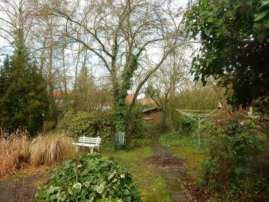 Schön eingewachsener Garten.JPG