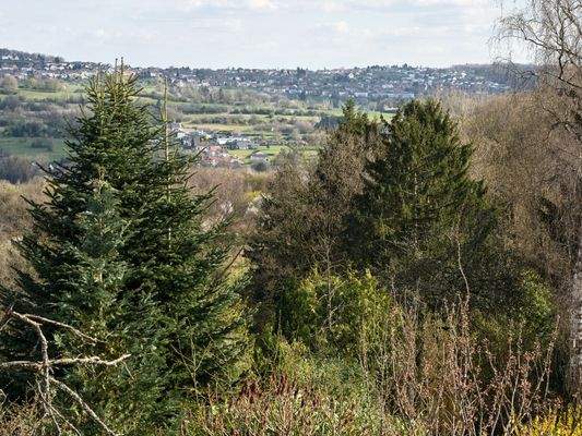 DS054416_Aussicht 7 km Wahlschied-Holz-Göttelborn 