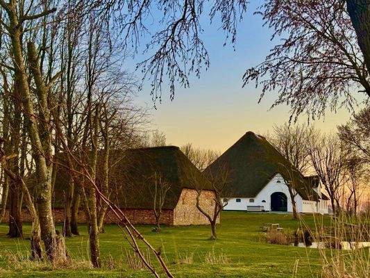 Gulfscheune Abendstimmung