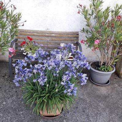 481142807_616122091577397_5400927702192404244_n.jp