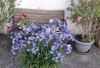 481142807_616122091577397_5400927702192404244_n.jp