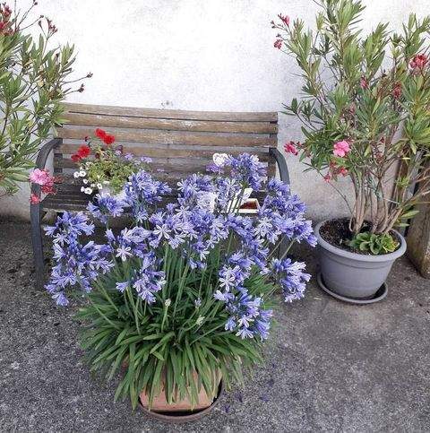 Euerbach Häuser, Euerbach Haus kaufen