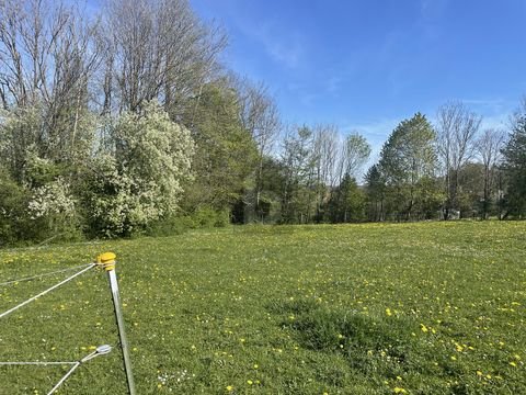Berg Grundstücke, Berg Grundstück kaufen