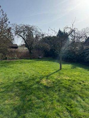 WhatsApp Image 2026-03-09 at 02.28.51 (4).jpeg