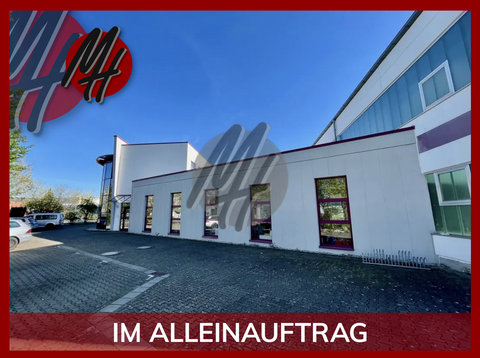 Bad Vilbel Halle, Bad Vilbel Hallenfläche
