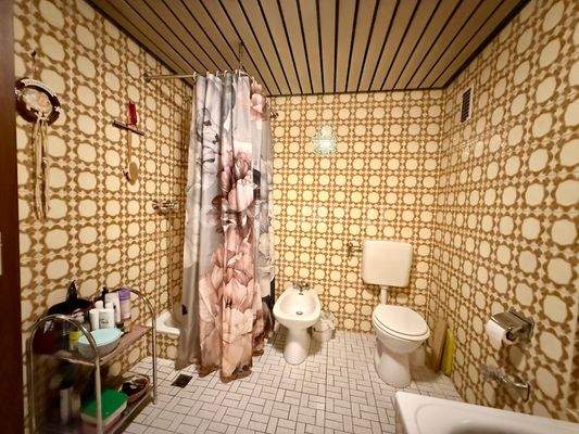 Badezimmer mit Dusche und Wanne