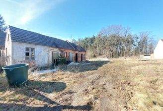 2025-04-10 Glinzig Am Waldrand 1.jpg