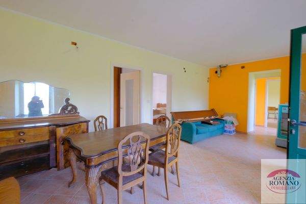 rif 1504(Copy16).jpg