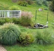 d96c7b08-3500-4df4-9edc-36b32e8dc308-1935312325.jp