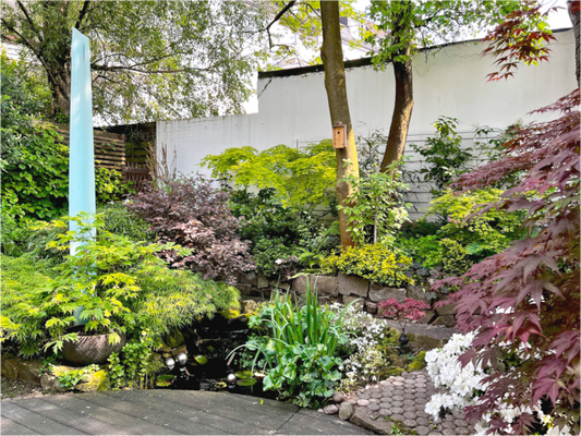 Gartenansicht