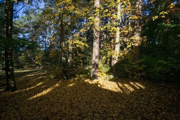 Blick auf die Grundstücksgrenze Auf der Heide