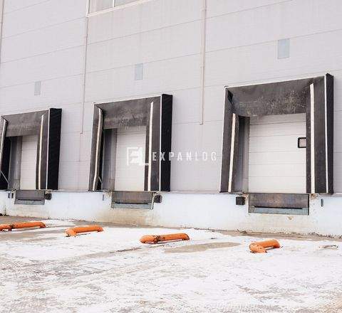 Krefeld Halle, Krefeld Hallenfläche