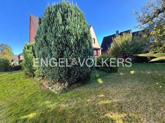 Garten rund um das Haus