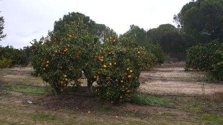 5ed7c13e-11f0-44c2-8cf0-d6c2eb5ec80c