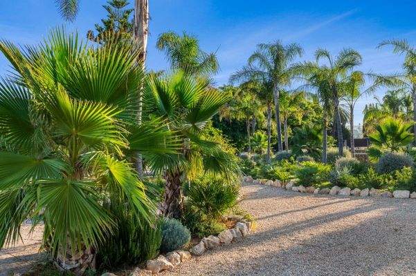 Beeindruckende rustikale Finca zum Verkauf im Herzen von Mallorca.