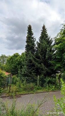 Zugang zum Garten über die Stichstraße