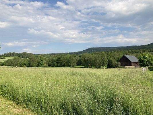 Wälder, Wiesen+Wanderwege