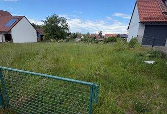 WhatsApp Image 2026-07-24 at 16.53.47.jpeg