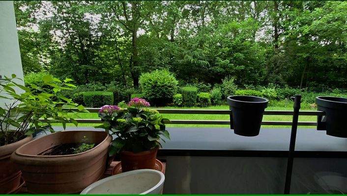 Blick von Loggia in den Wald