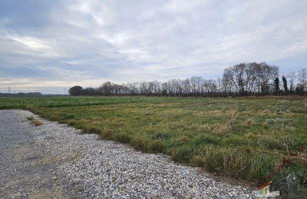 WhatsApp Image 2025-11-16 at 13.45.53 (1)