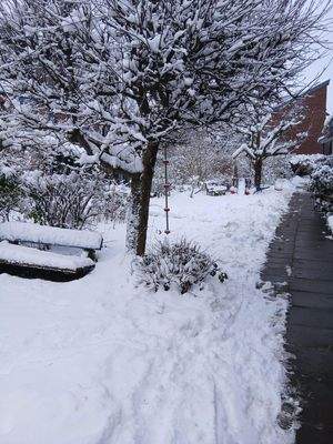 Gemeinschaftsfläche