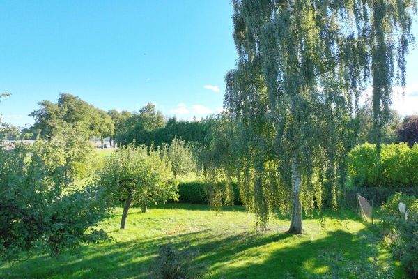 gepflegtes Grundstück