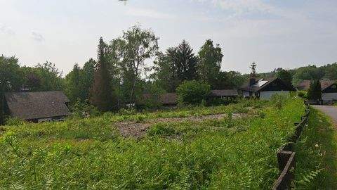Neustadt (Wied) / Fernthal Grundstücke, Neustadt (Wied) / Fernthal Grundstück kaufen