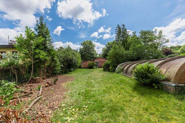 Blick auf Altbestand