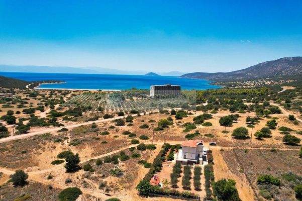 img_e0105458-dbc4-4572-94df-8a7eb5872744